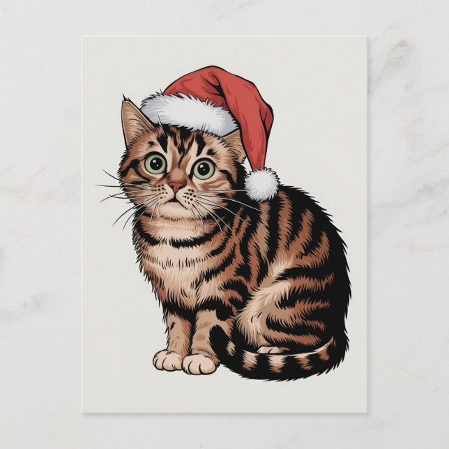 Postal Festiva Un gato lindo con el gorra de navidades (Anverso)