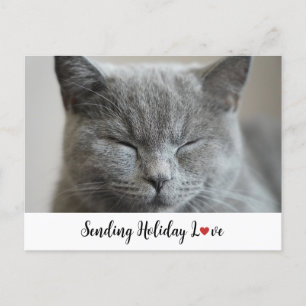 Postal Festiva Un gato lindo que envía amor de vacaciones