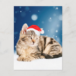 Postal Festiva Un gato lindo que lleva un sombrero rojo de Santa