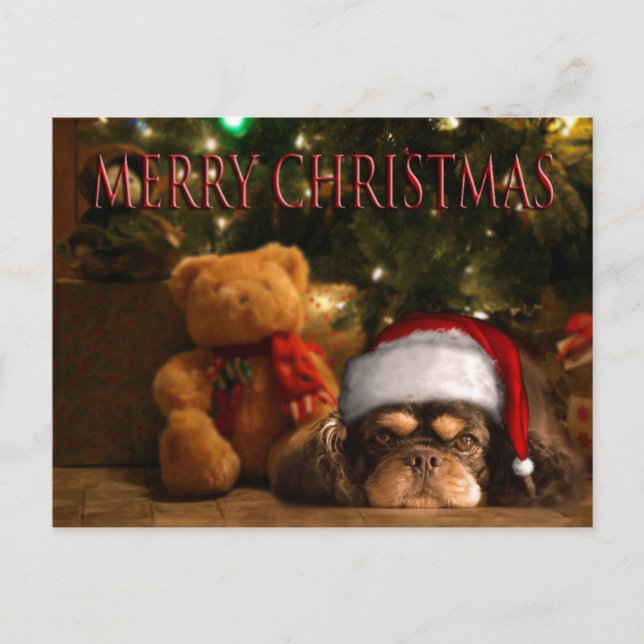 Postal Festiva Un Perro Es Para La Vida No Sólo Para Navidades (Anverso)