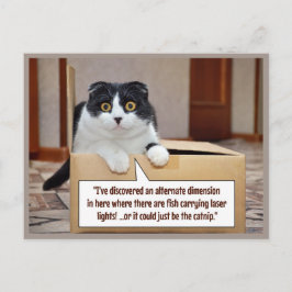 Postal Festiva Una dimensión alternativa