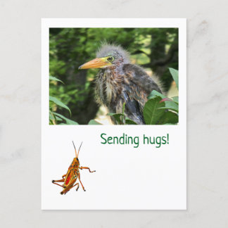 Postal Festiva Una garza verde