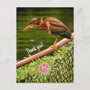 Postal Festiva Una garza verde