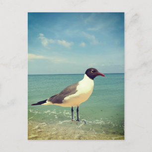 Postal Festiva Una gaviota