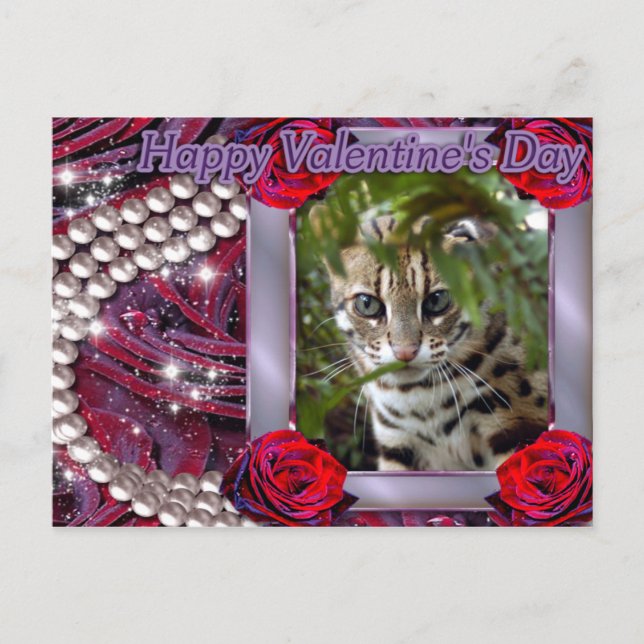 Postal Festiva val-bengal-cat-00073-6x4 (Anverso)