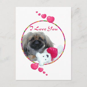 Postal Festiva Valentín de Pekín