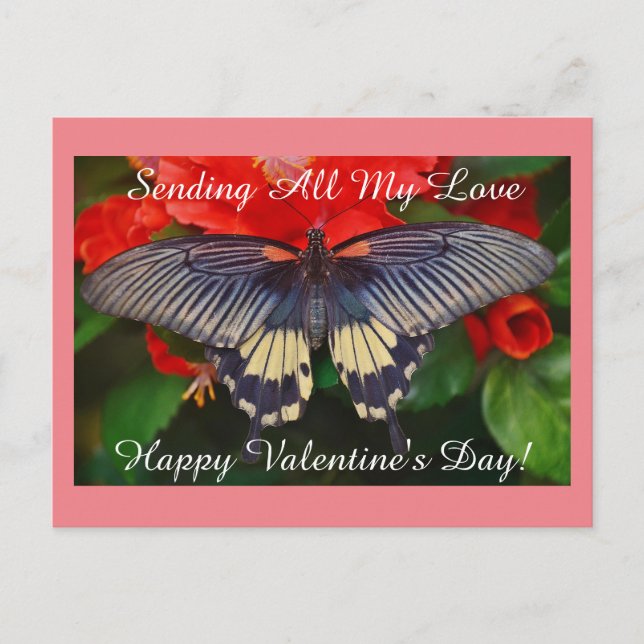 Postal Festiva Valentine Butterfly (Anverso)