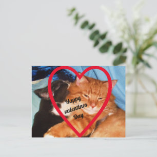 POSTAL FESTIVA VALENTINE CAT LOVE