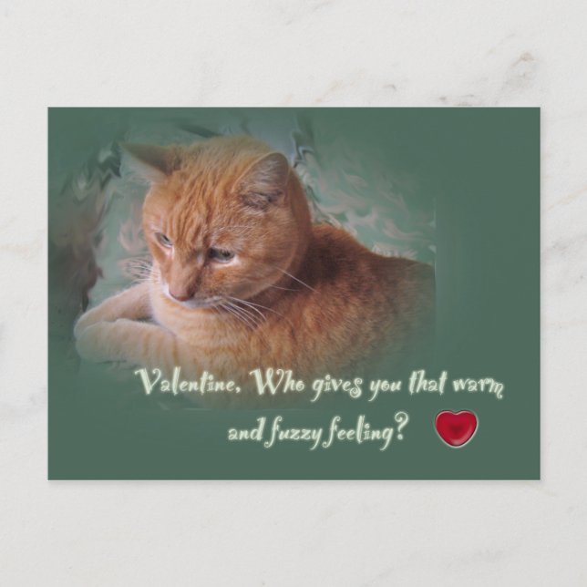 Postal Festiva Valentine del gato (Anverso)