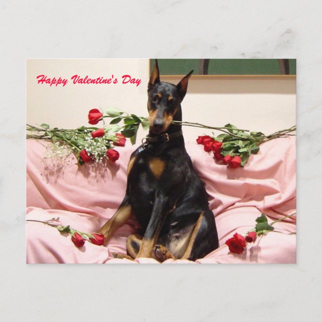 Postal Festiva Valentine Dobercard (Anverso)