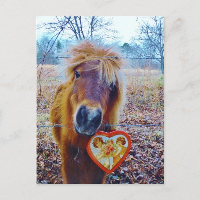 Postal Festiva Valentine Heart Horse (Anverso)