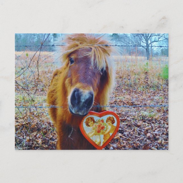 Postal Festiva Valentine Heart Horse (Anverso)