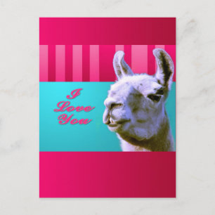 Postal Festiva Valentine llama I love you be mine pink red, turqu