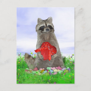 Postal Festiva Valentine Raccoon Bandit
