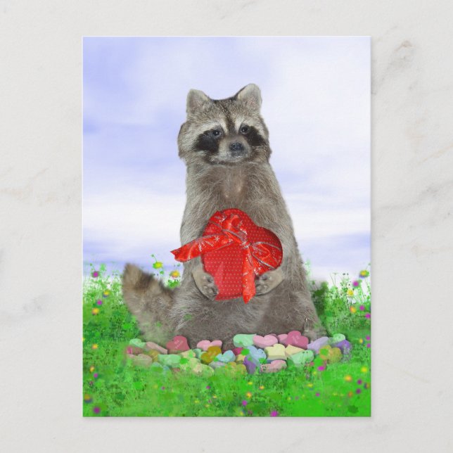 Postal Festiva Valentine Raccoon Bandit (Anverso)