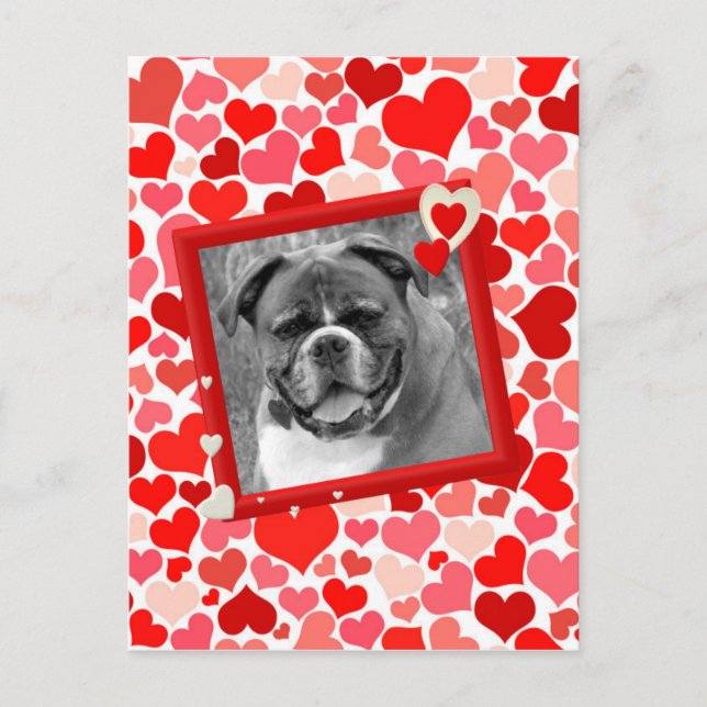 Postal Festiva Valentines Boxer Dog Hearts (Anverso)