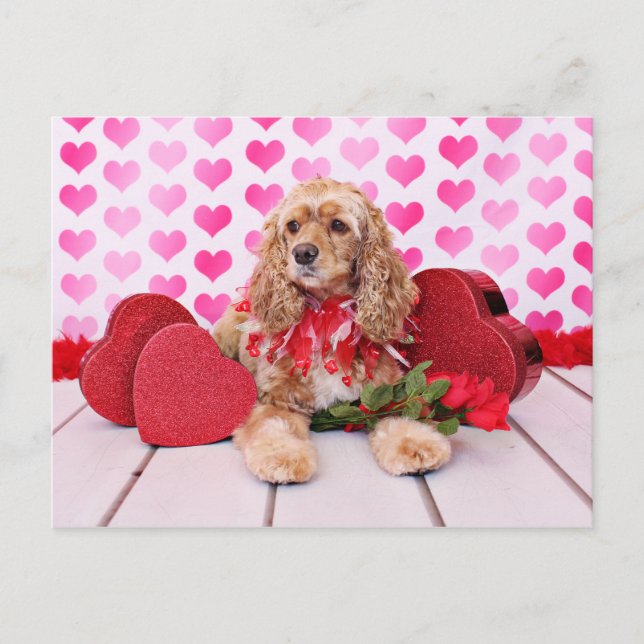 Postal Festiva Valentines - Cocker Spaniel - Bella (Anverso)