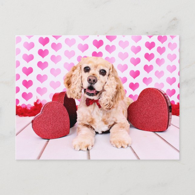 Postal Festiva Valentines - Cocker Spaniel - Duke (Anverso)