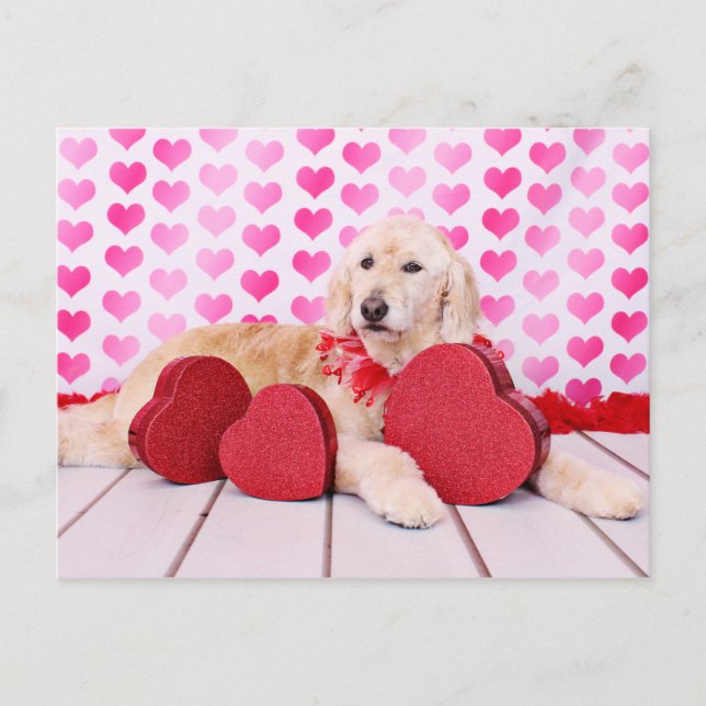 Postal Festiva Valentines - Golden Doodle - Maggie (Anverso)