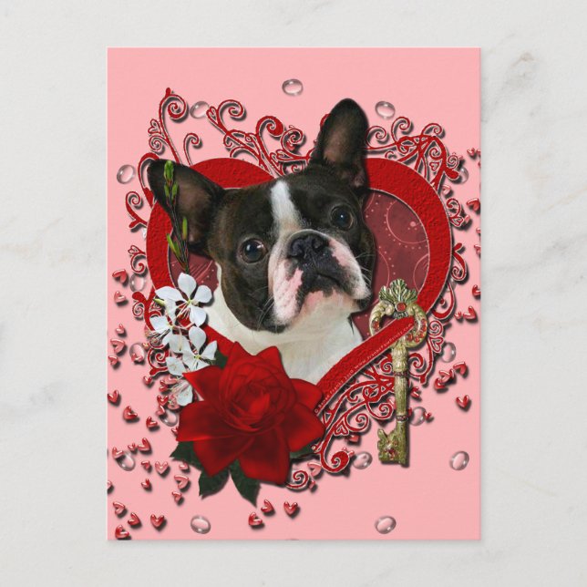 Postal Festiva Valentines - Key to My Heart - Boston Terrier (Anverso)