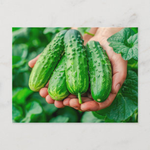 Postal Festiva Variedad de pepino Fresco del Jardín