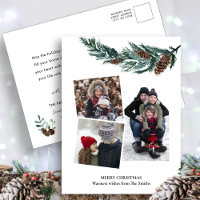 Vegetación acuática Rústica Verde Pino Cono Bough