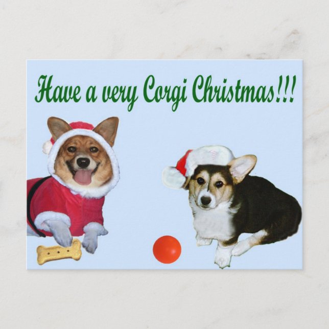 Postal Festiva Very Corgi Christmas M & G Blue Postcard (Anverso)