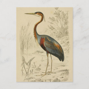 Postal Festiva Viajes antiguos de garza morada