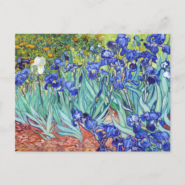 Postal Festiva Vincent Van Gogh pintando Irises (Anverso)