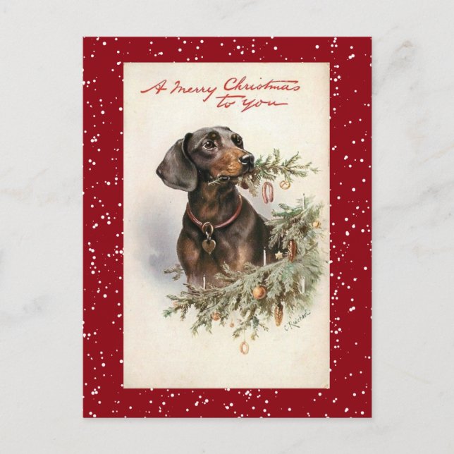 Postal Festiva Vintage Christmas Dachshund Dog (Anverso)