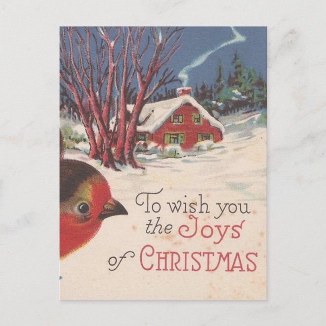 Postal Festiva Vintage Christmas Winter Bird (Anverso)