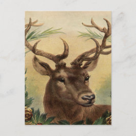 Postal Festiva Vintage Deer Buck Stag Nature Navidades Rústicos