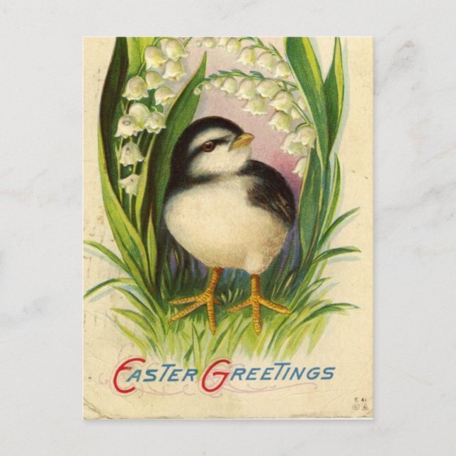 Postal Festiva Vintage Easter Chick (Anverso)