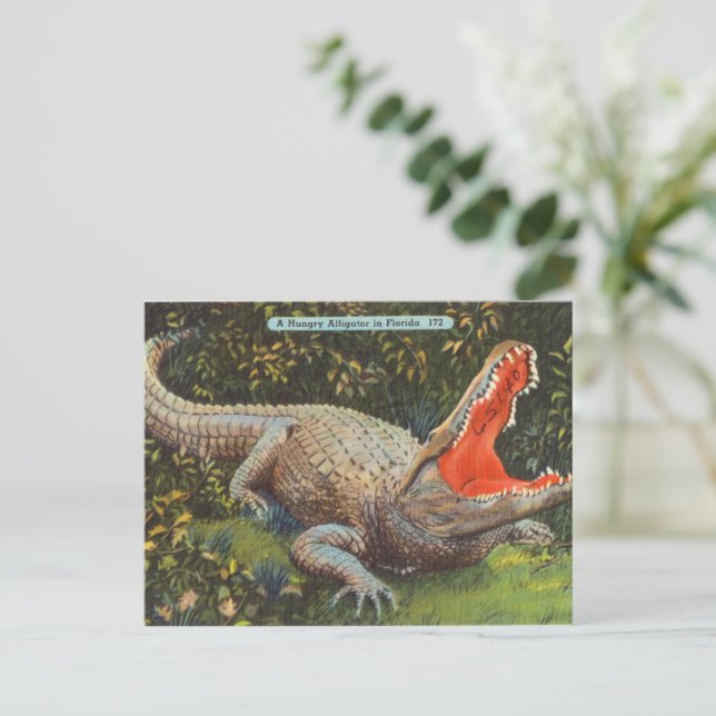 Postal Festiva Vintage Florida (Anverso de pie)
