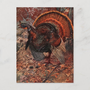 Postal Festiva Vintage Happy Thankending Turkey