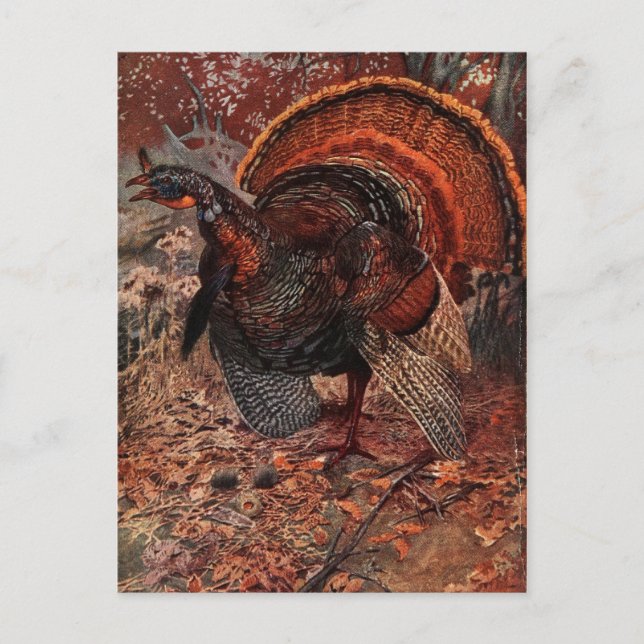 Postal Festiva Vintage Happy Thankending Turkey (Anverso)