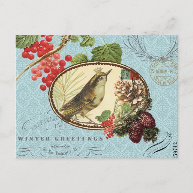 Postal Festiva Vintage Holiday-Winter BirdPostcard (Anverso)
