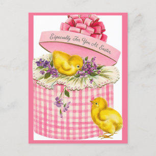 Postal Festiva Vintage Retro Baby Chicks en una caja de Gorra Pas