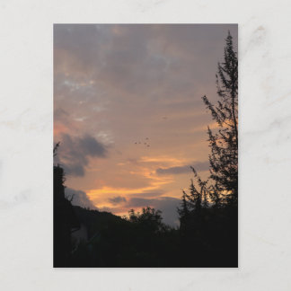 Postal Festiva Vista del atardecer con pájaros volando sobre árbo