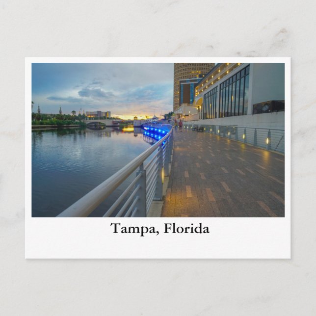 Postal Festiva Vista dinámica del paseo marítimo de Tampa Florida (Anverso)