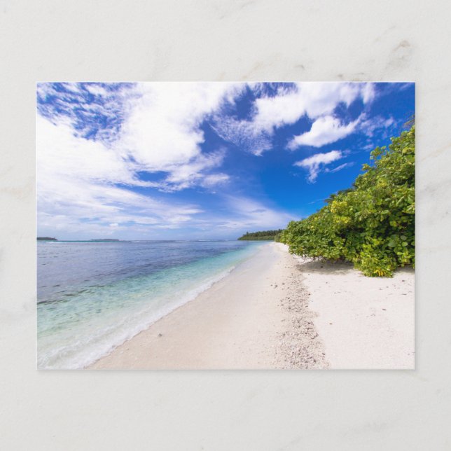 Postal Festiva Vista oceánica (Anverso)