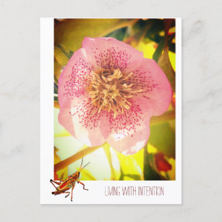Postal Festiva Viviendo con intención. Helleborus (Rosa de Cuares