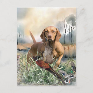 Postal Festiva Vizsla, Arte