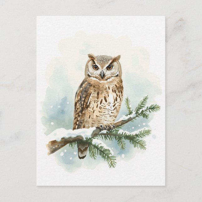 Postal Festiva Watercolor Owl on Snowy Pine Branch (Anverso)