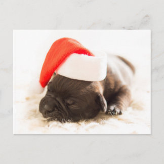 Postal Festiva Weihnachtswelpe