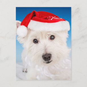 Postal Festiva Westie con Santa Hat y barba