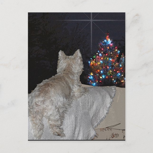 POSTAL FESTIVA WESTIE NAVIDADES AWE (Anverso)