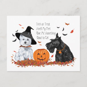 Postal Festiva Westie y Scottie Halloween