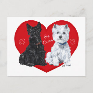 Postal Festiva Westie y Scottie San Valentín