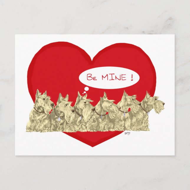 Postal Festiva Wheaten Scotties Valentine (Anverso)